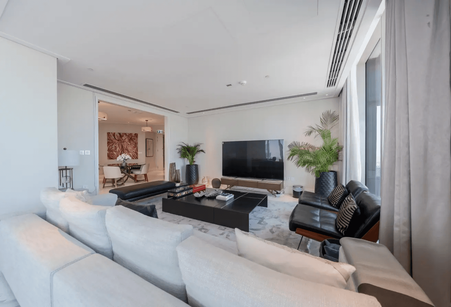 vivid - BRN - 12121212