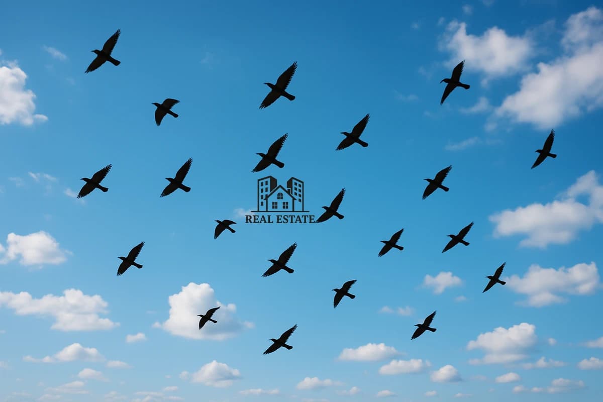 Rent - Apartment - 2 Bedroom - 2 Bathrooms - Dubai - United Arab Emirates - - Dubai - United Arab Emirates