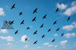 Sale - Apartment - 1 Bedroom - 2 Bathrooms - Dubai - United Arab Emirates -  - Dubai - United Arab Emirates