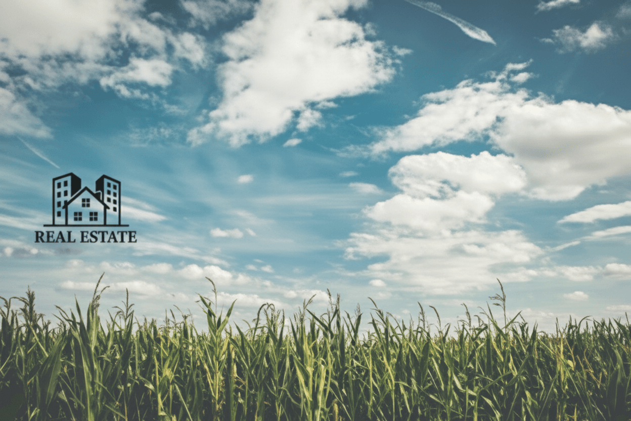 Sale - Apartment - 2 Bedroom - 2 Bathrooms - Dubai - United Arab Emirates -  - Dubai - United Arab Emirates