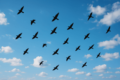 test test - agenTest14